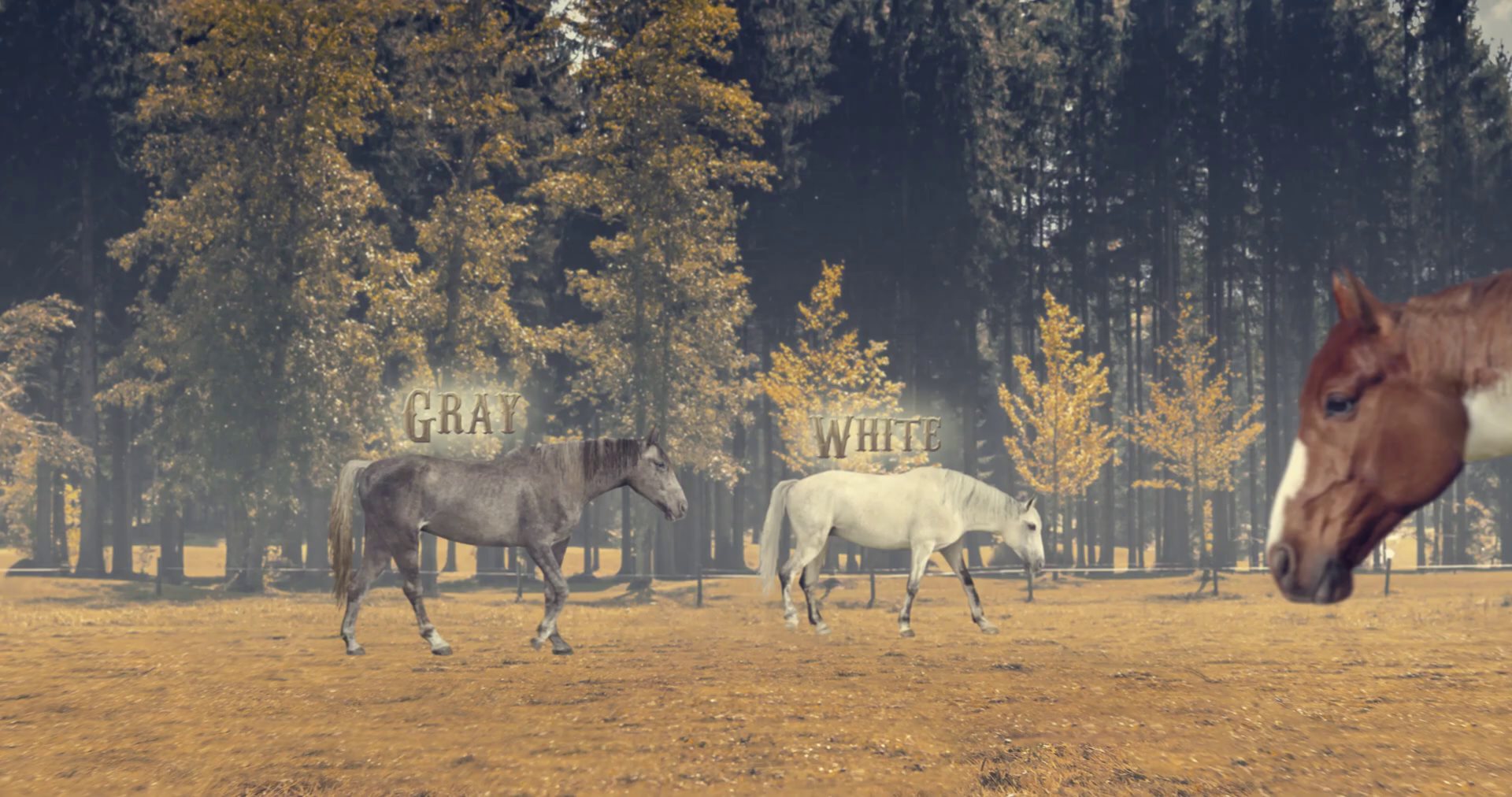 df6434a115db6a83e8267571b3dc3b22