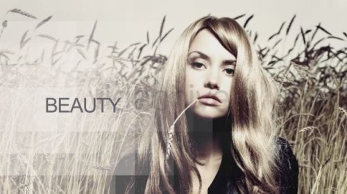 The Story of a Lifetime