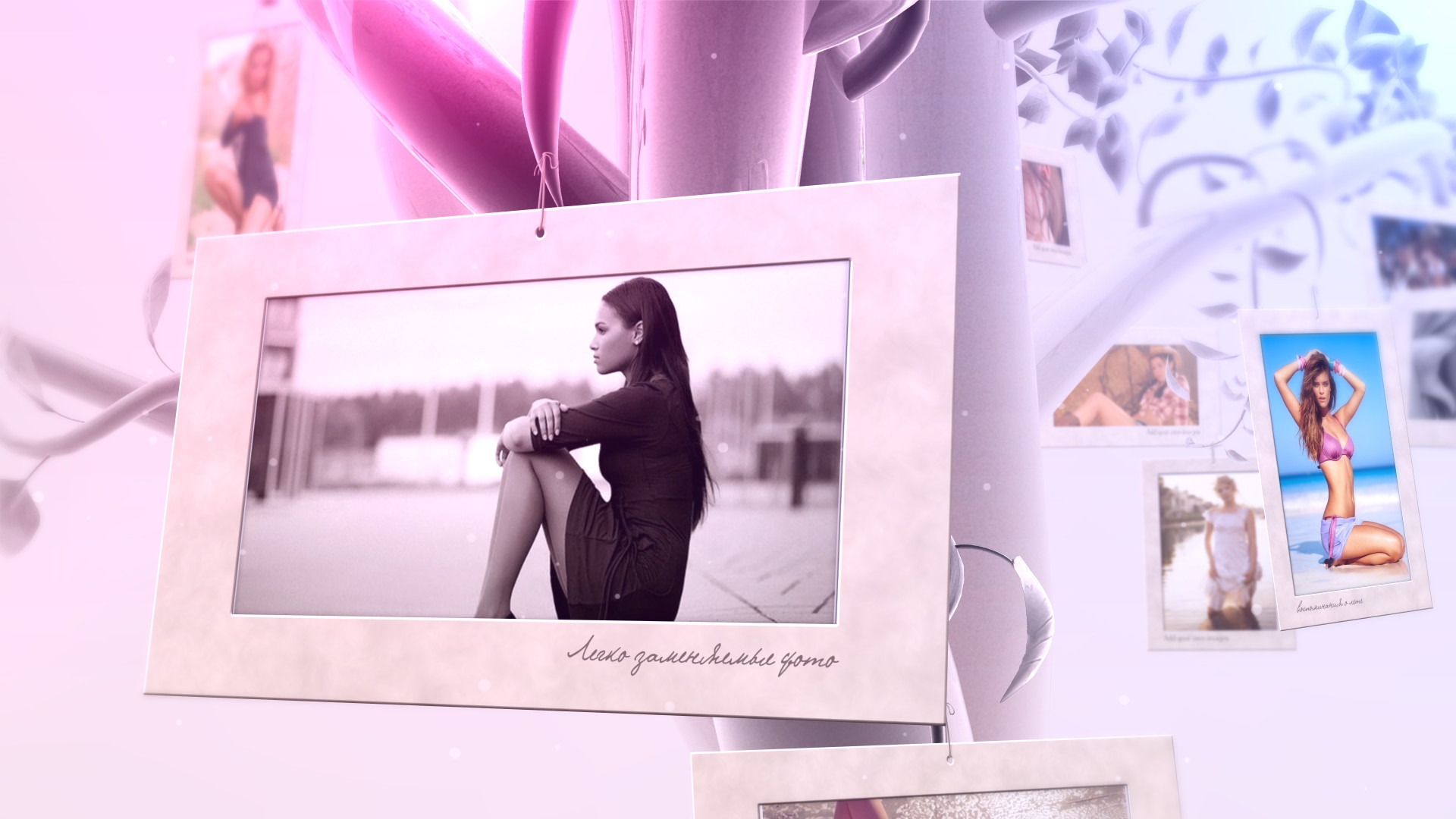 VideoHive-Photo Album Summer Memories