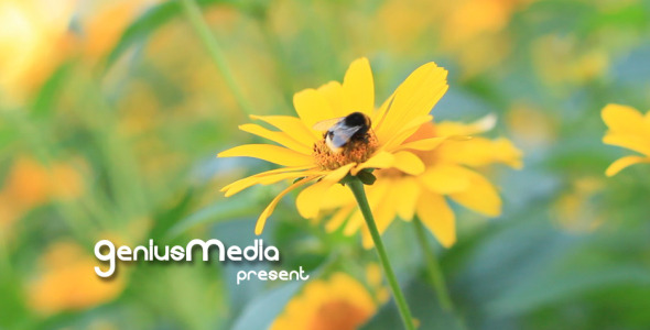 VideoHive - Photo Gallery on a Flower Holiday