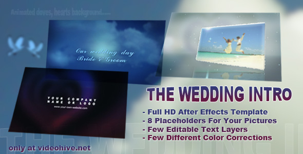 The Wedding Intro preview