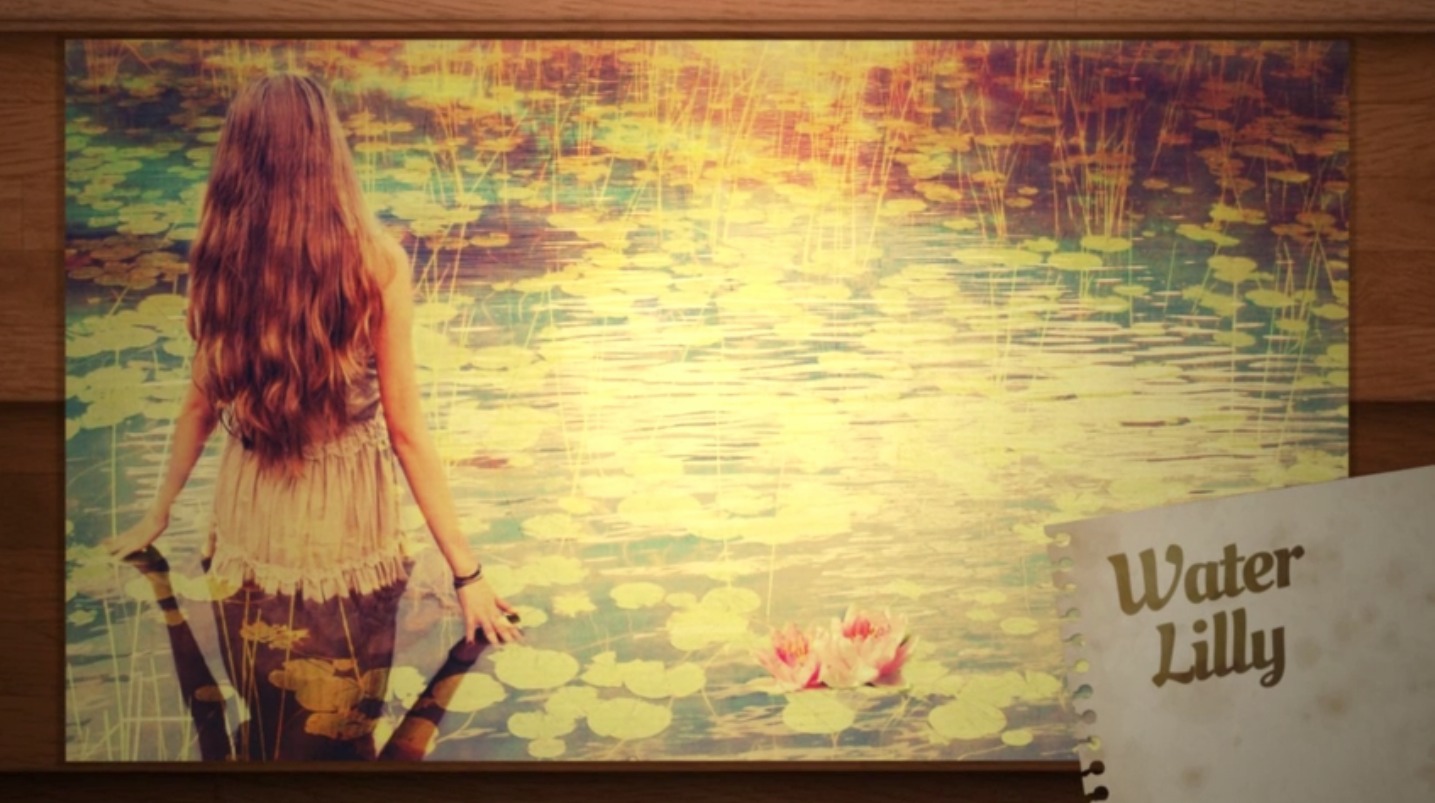 Videoblocks Wood Slider