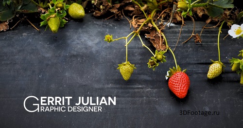 Clean Minimal Lower Thirds image