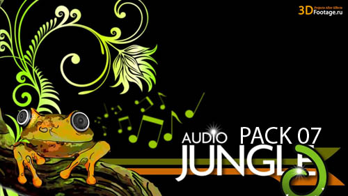 AudioJungle 07