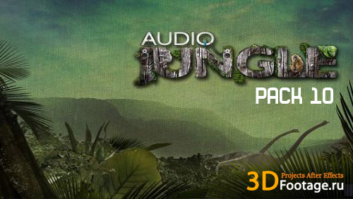 Audio Jungle pack 10