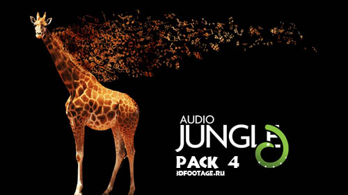 Audio Jungle pack 4