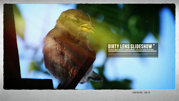 Dirty Lens Slideshow Preview