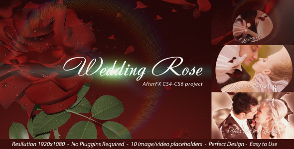Wedding Rose image