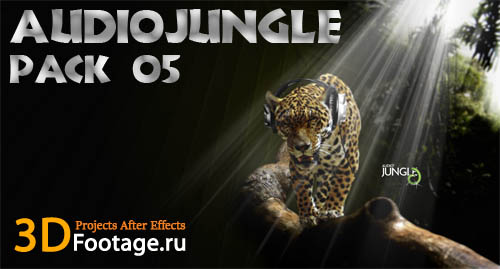 audiojungle 05