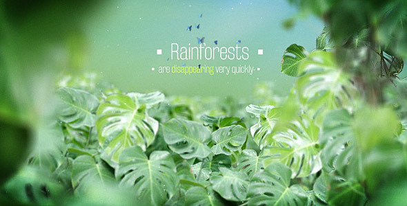 The Rainforests Titles